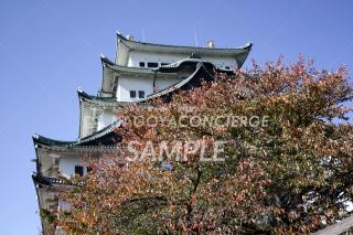 秋の名古屋城2