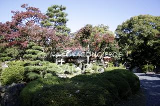 21.名古屋城　二の丸庭園　秋2