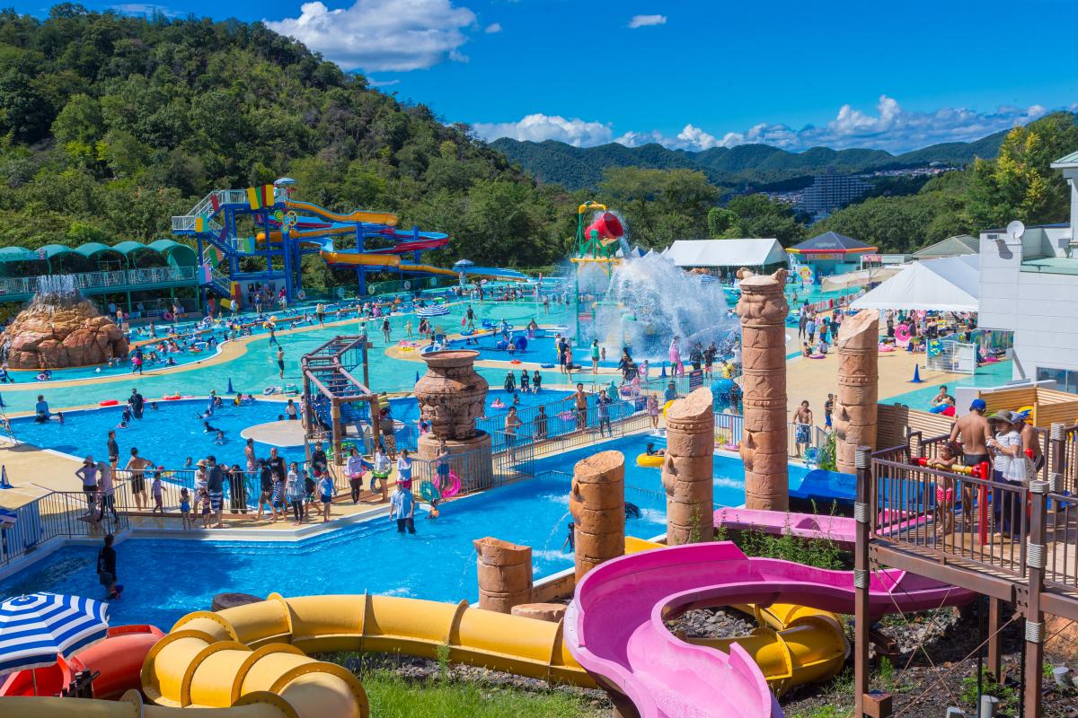 Japan Monkey Park Visit NagoyaNagoya City Guide