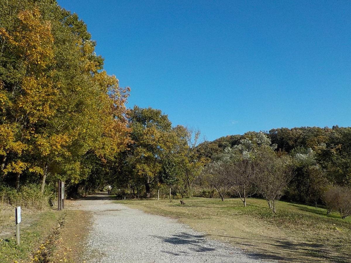 平和公園