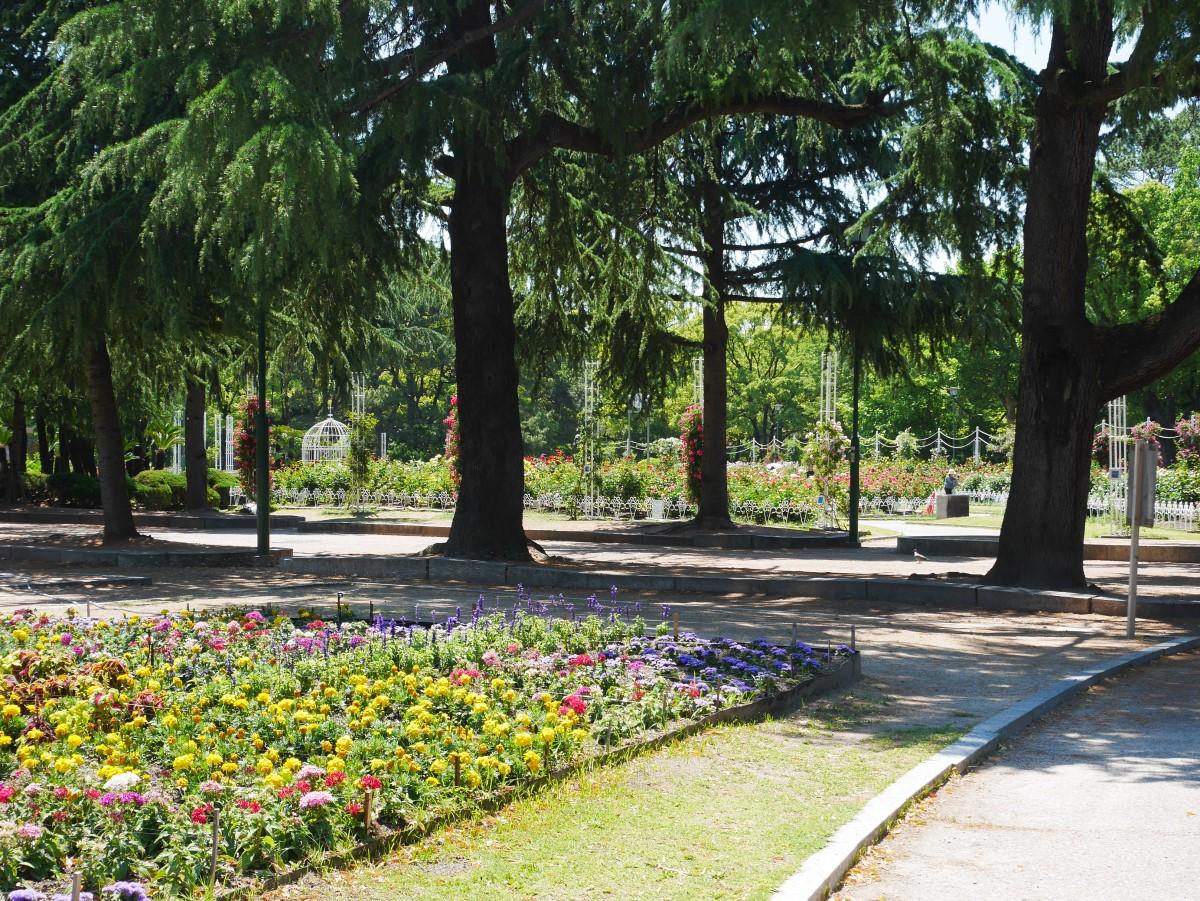 鶴舞公園 公式 名古屋市観光情報 名古屋コンシェルジュ