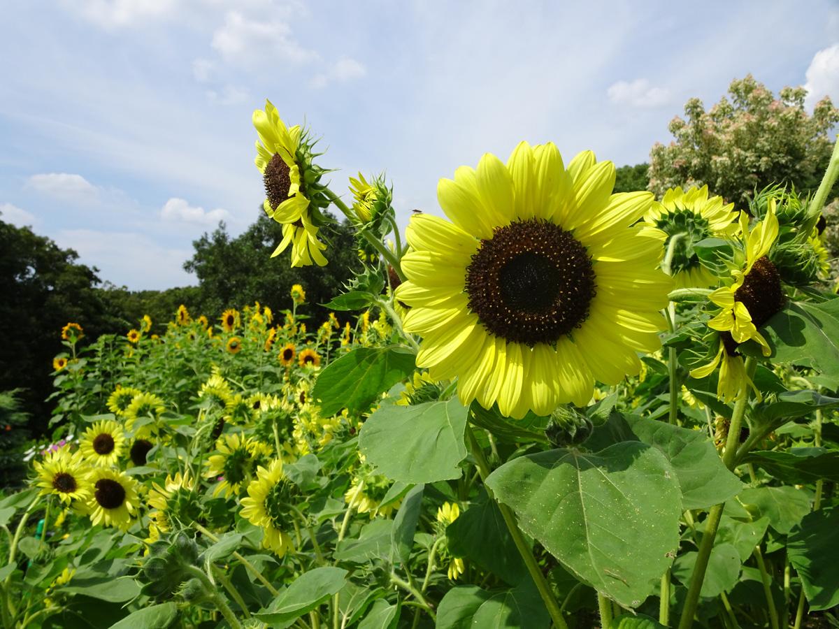 Higashiyama Zoo and Botanical Gardens