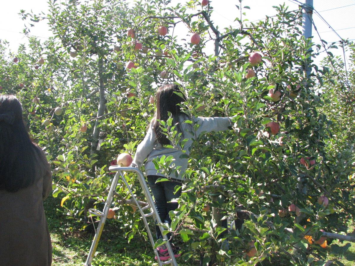 Togokusan Fruits Park