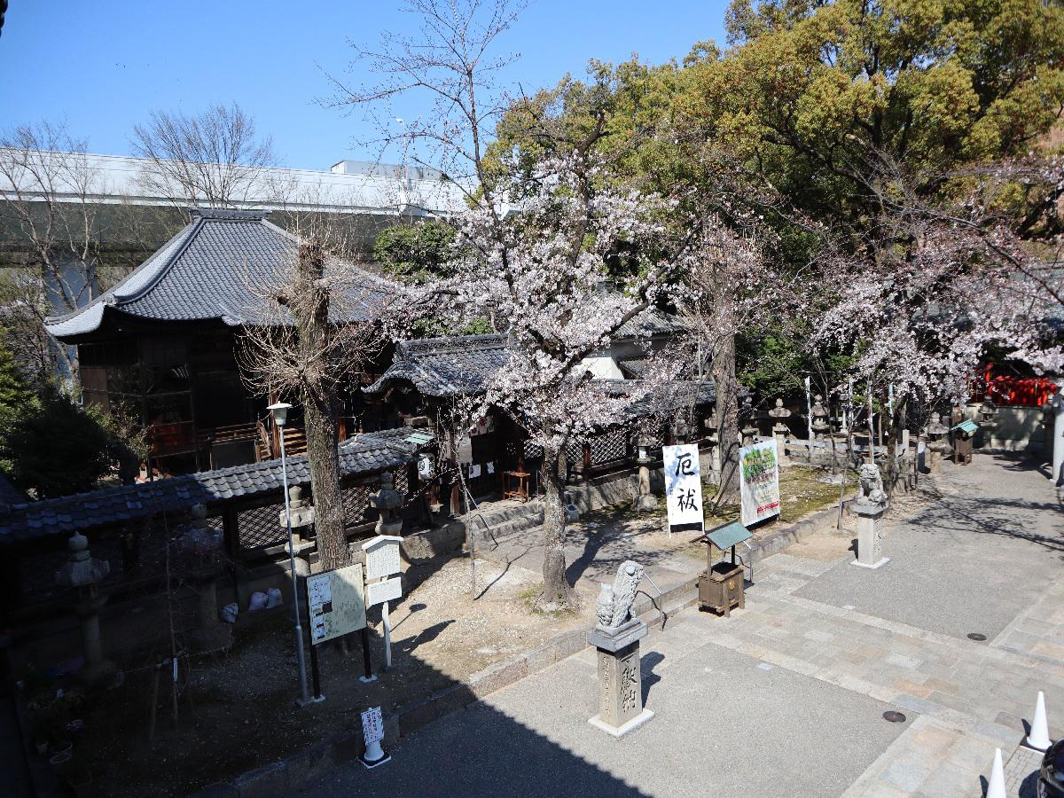 名古屋東照宮　全景