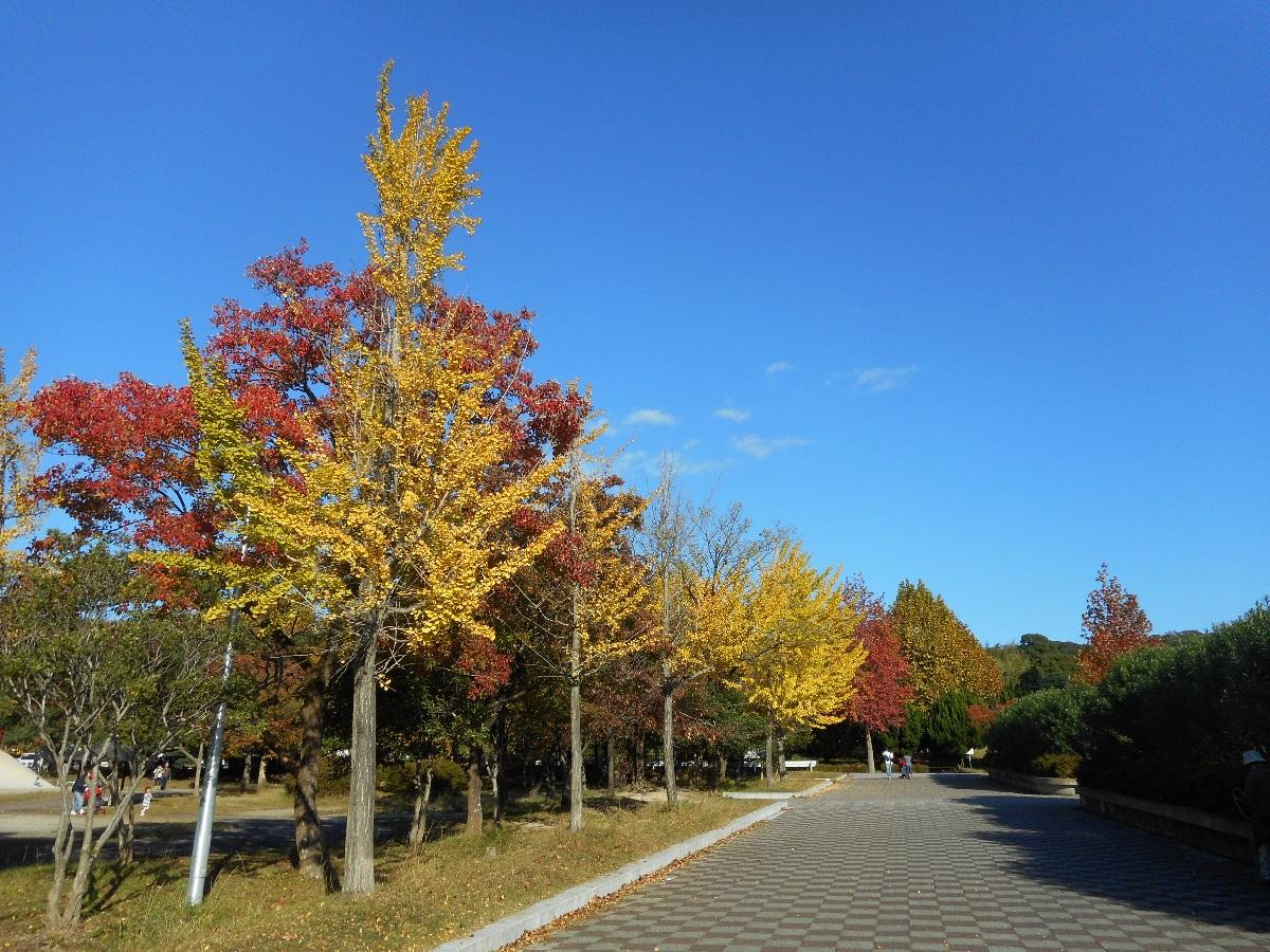 大高緑地　砦児童園秋