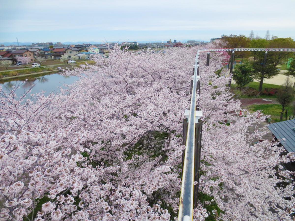 戶田川兒童樂園