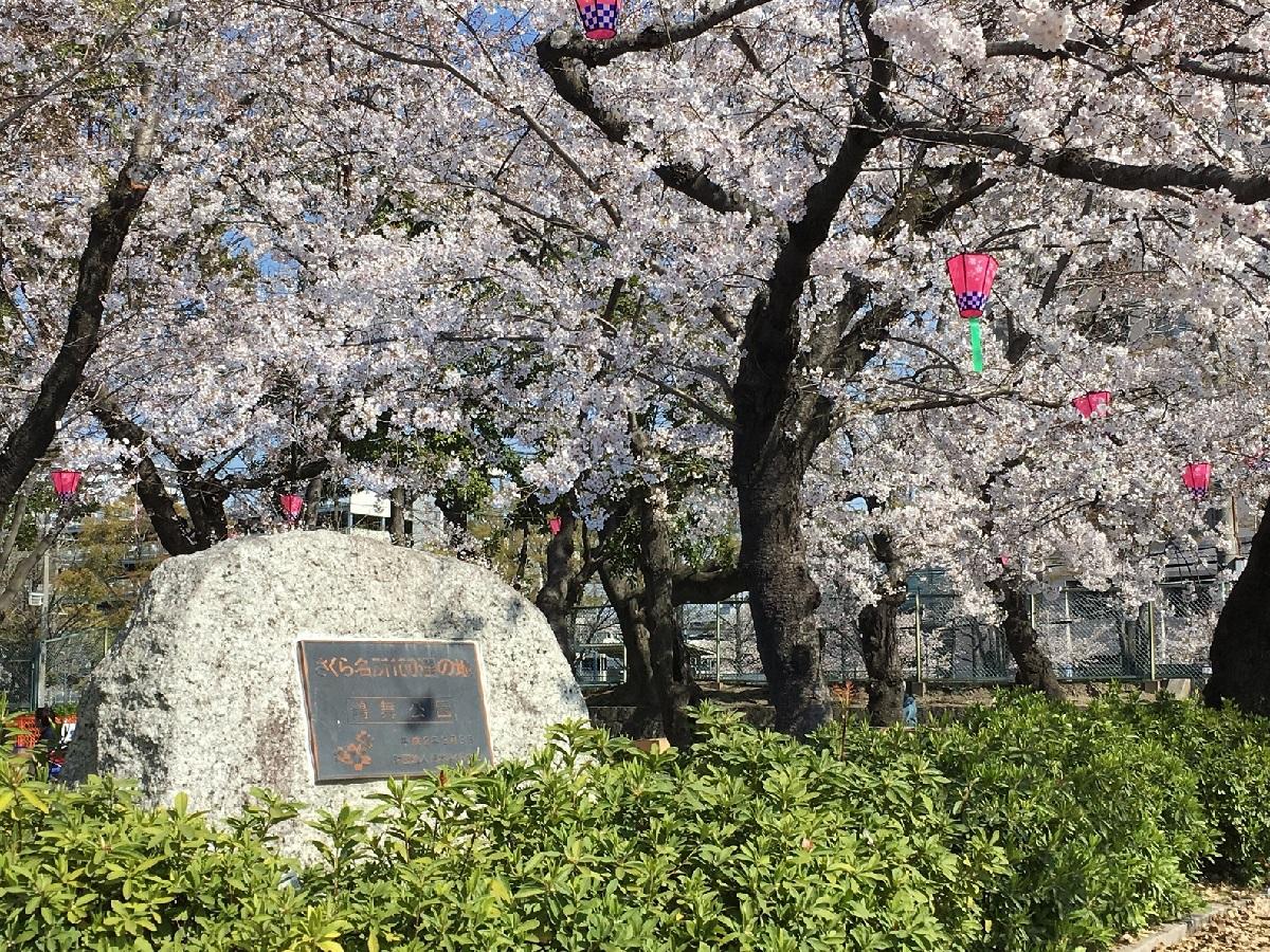 鶴舞公園 名古屋旅遊官方網站visit Nagoya 鶴舞公園 名古屋旅遊官方網站visit Nagoya