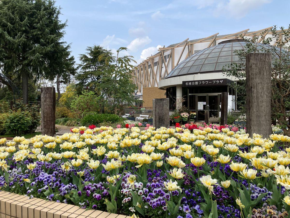 名城公園 花壇