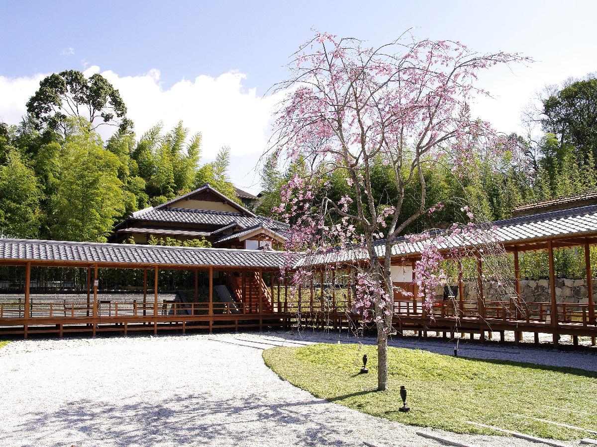 Yagotosan Koshoji Temple