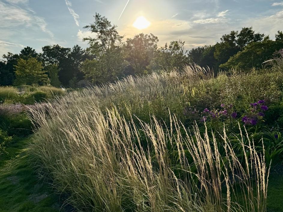 Megrass Garden Nagoya(เมกราส การ์เดน นาโกยา)