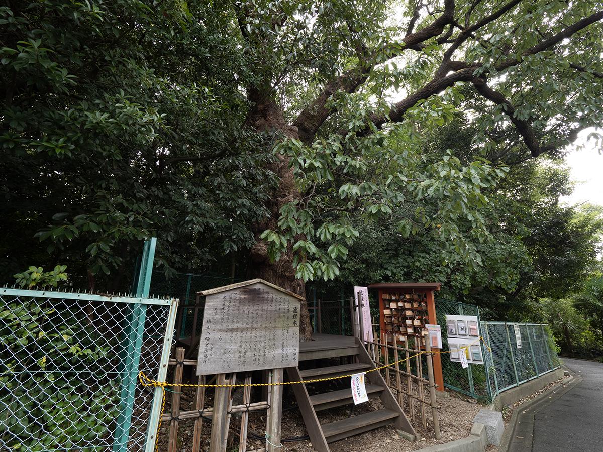 城山八幡宮