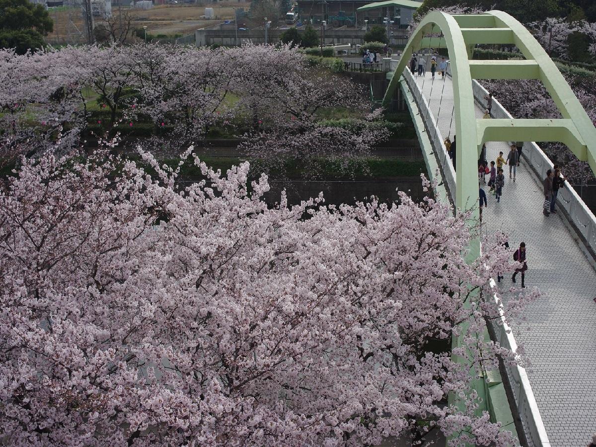 荒子川公園 公式 名古屋市観光情報 名古屋コンシェルジュ