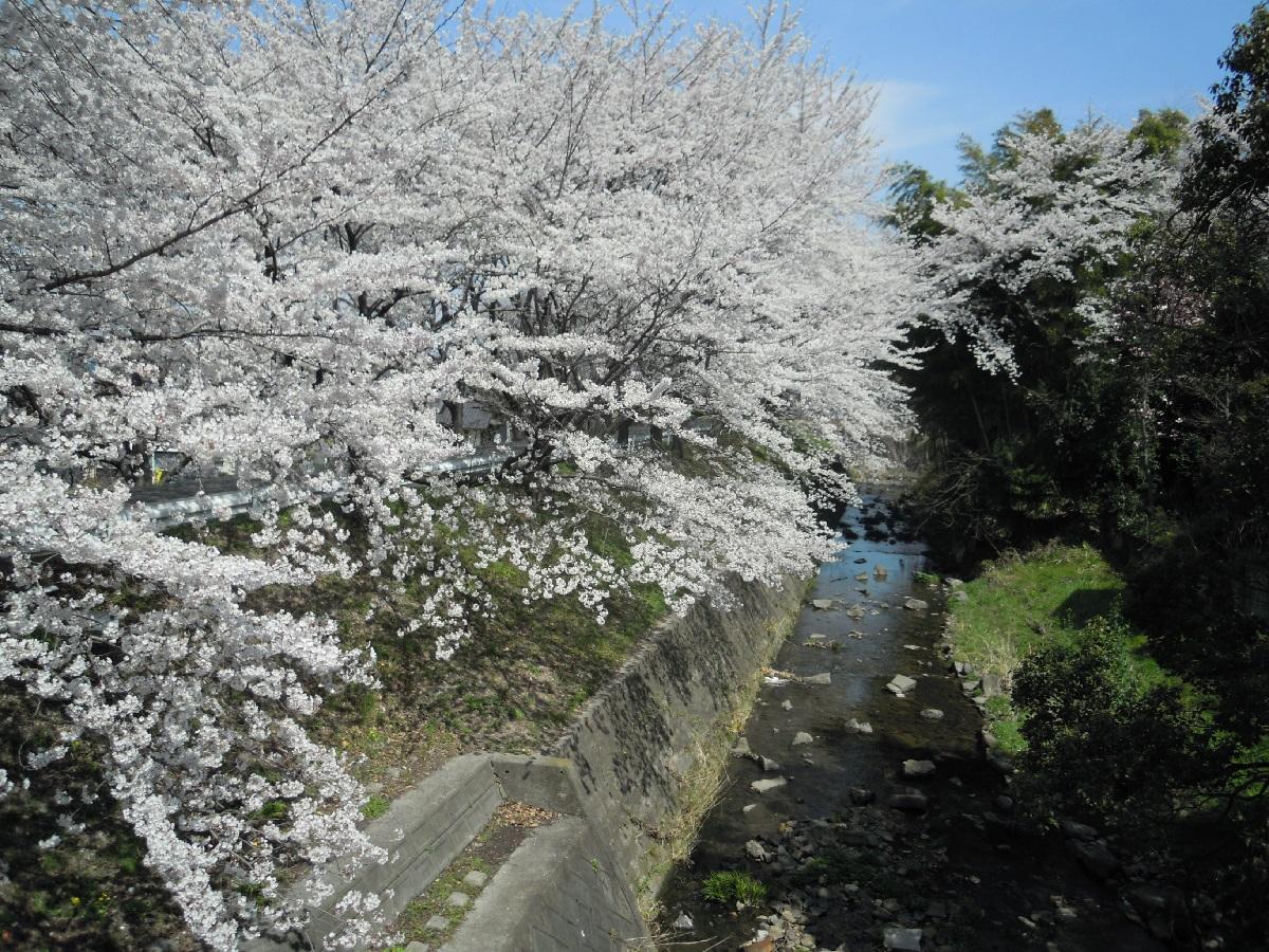 白沢渓谷 | 【名古屋市公式観光情報】名古屋コンシェルジュ