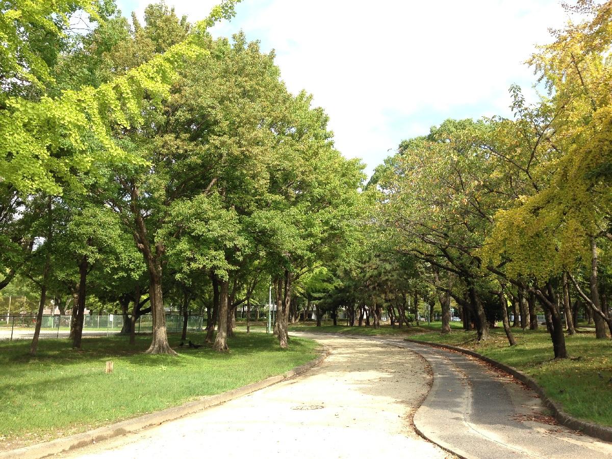 千種公園　緑に囲まれた園路