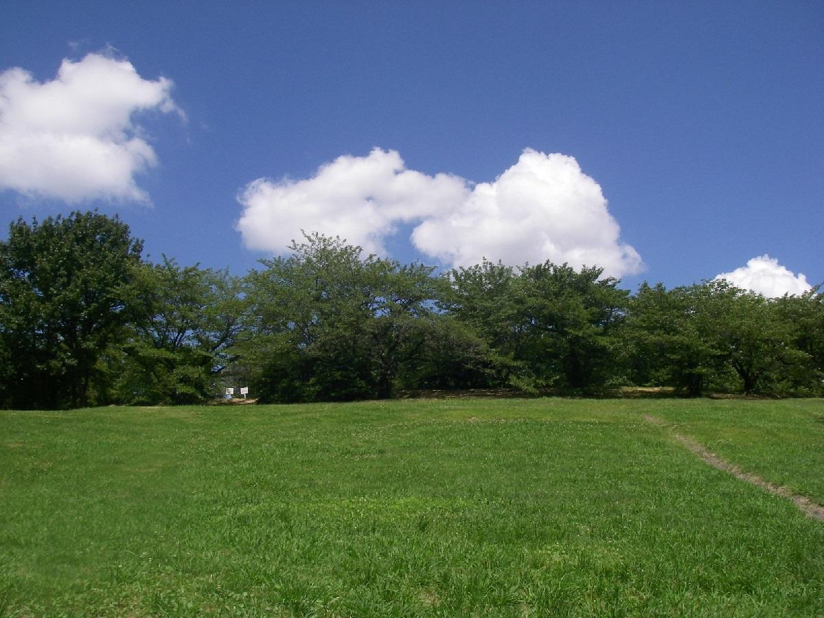 大高緑地　若草山夏