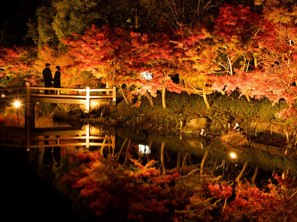 なばなの里　紅葉