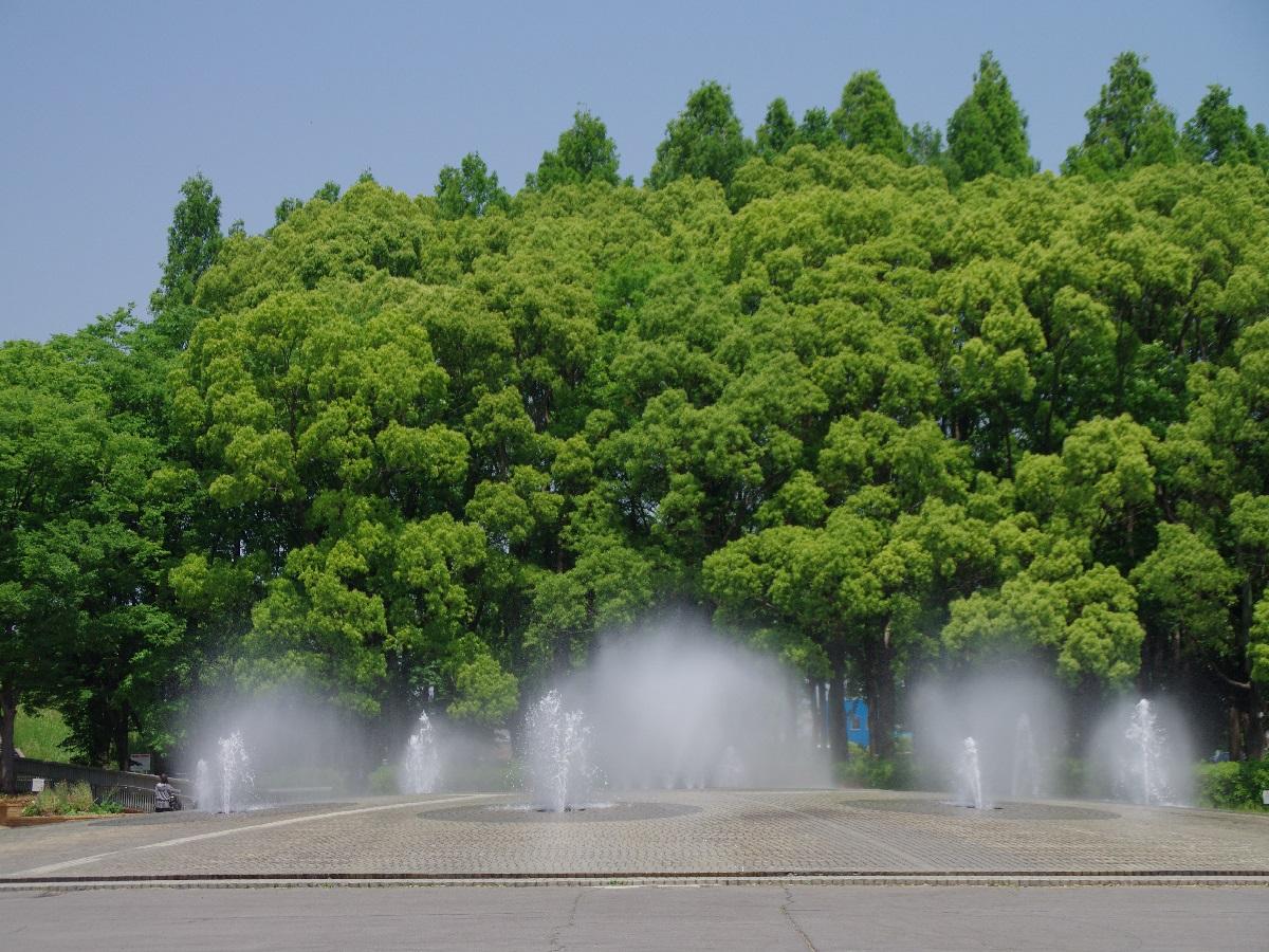庄内緑地公園　大噴水