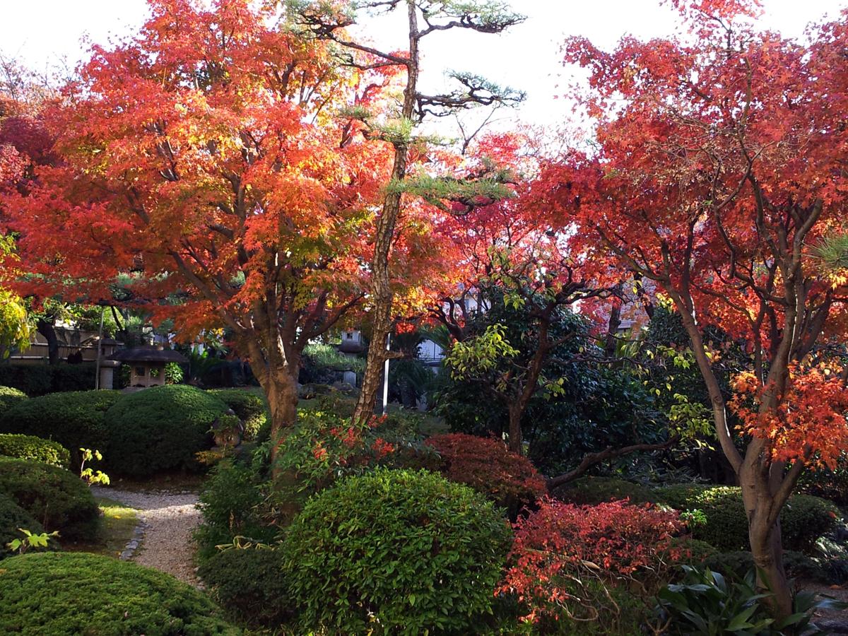 桑山美術館（公益財団法人桑山清山会）