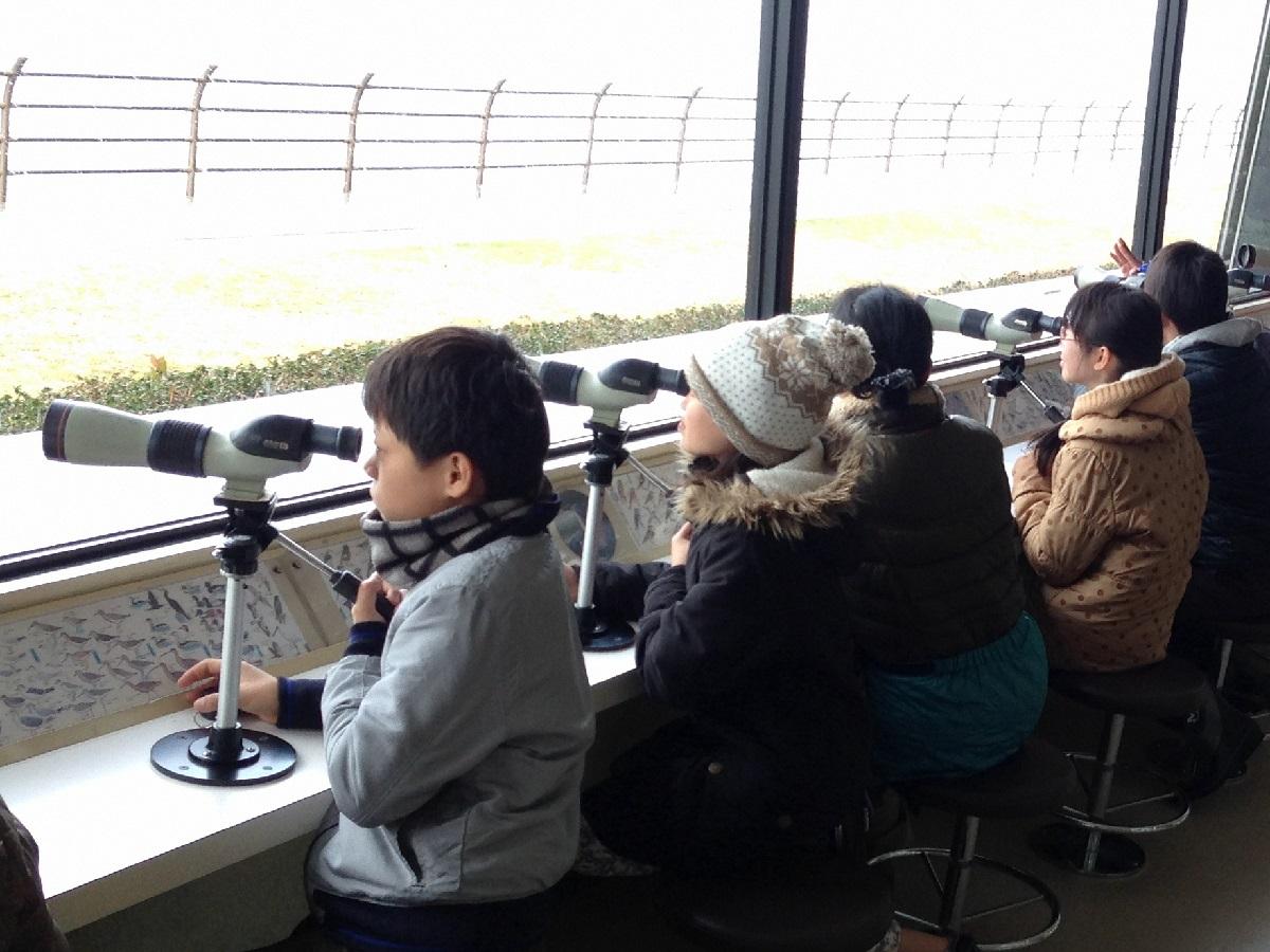 名古屋市野鳥観察館　野鳥観察をする子どもたち