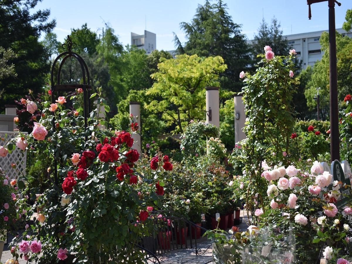 久屋大通庭園フラリエ