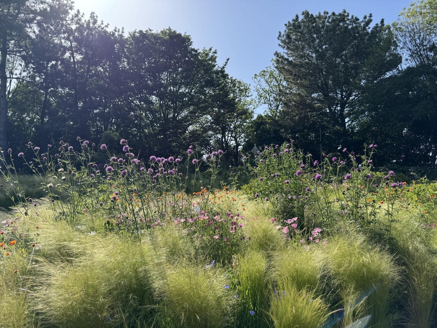 Megrass Garden Nagoya(เมกราส การ์เดน นาโกยา)