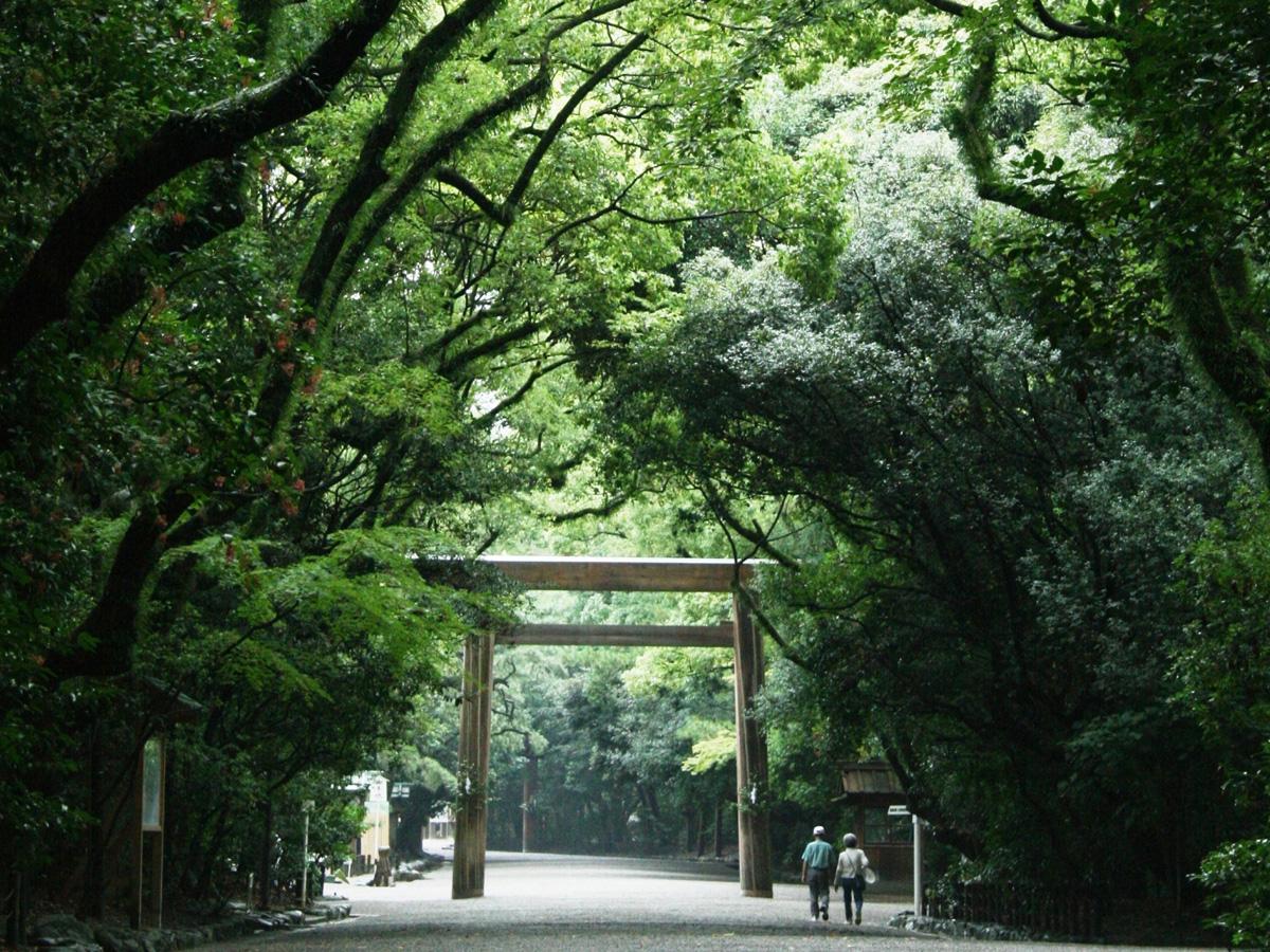 緑に囲まれた鳥居