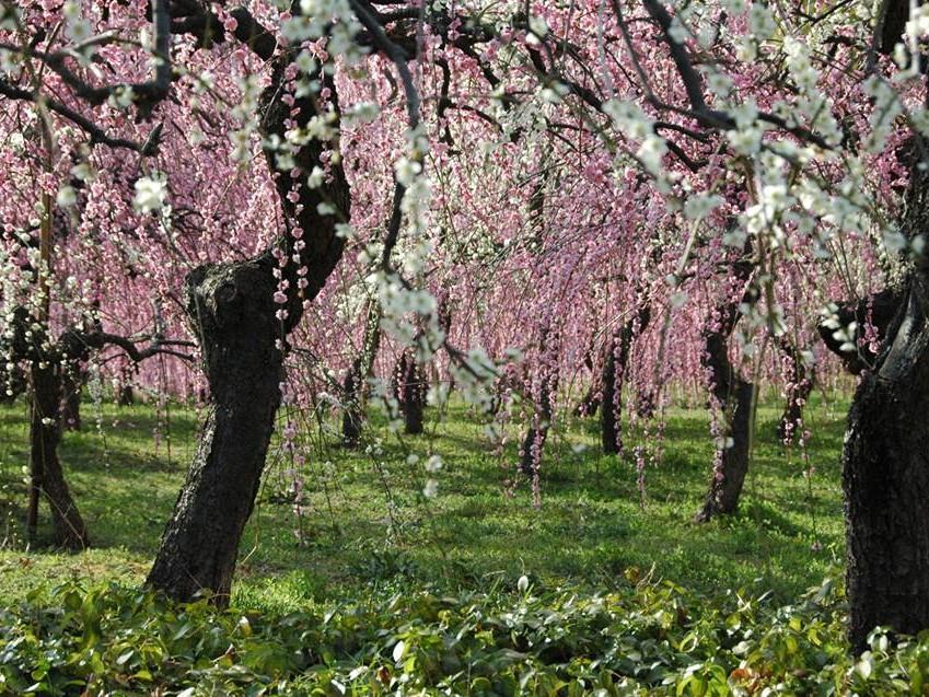 Nagoya City Agricultural Center dela Farm