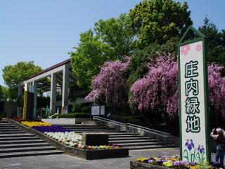 庄内緑地公園 入口広場