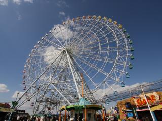 Nagoya Port Sea Train Land