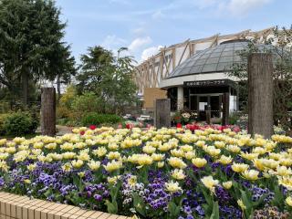 名城公園　花壇