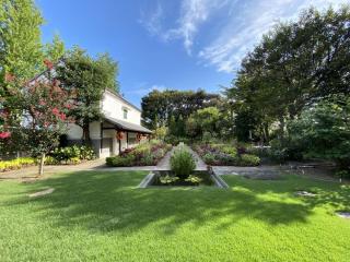 文化之路百花百草