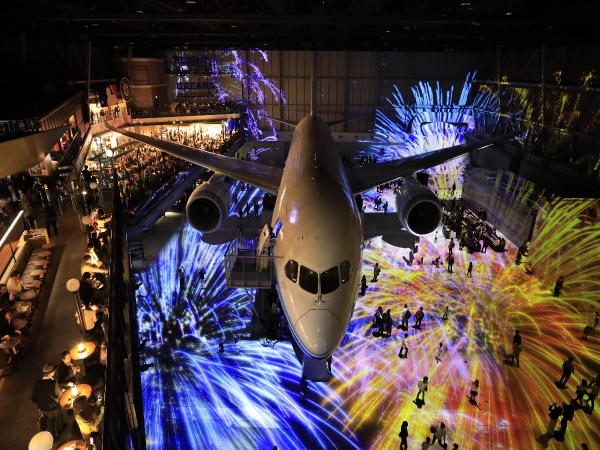 Fly with 787 Dreamliner
