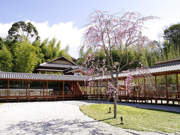 Yagotosan Koshoji Temple