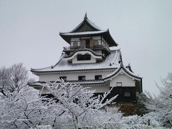 雪の犬山城