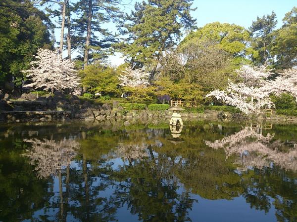 中村公園 ひょうたん池