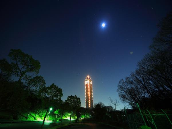 東山スカイタワー 外観(夜)