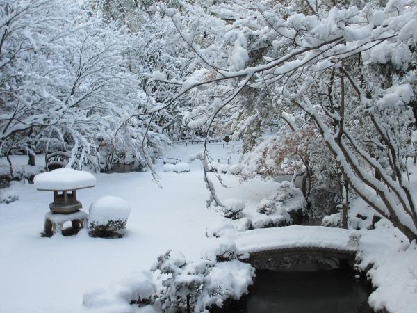 North Garden - Island in the Middle of the North Garden in Winter