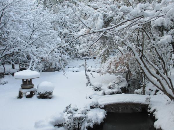 North Garden - Island in the Middle of the North Garden in Winter