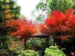 Vườn Hisaya-odori Garden Flarie
