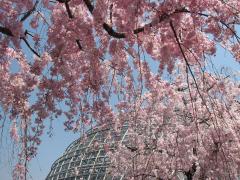 名古屋市東谷山水果公園