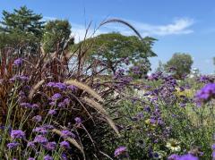 Megrass Garden Nagoya(เมกราส การ์เดน นาโกยา)