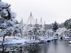 白鳥庭園