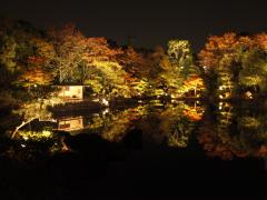 白鳥庭園