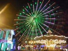 Nagoya Port Sea Train Land