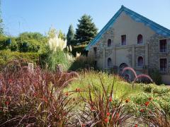 Nagoya Port Wildflower Garden - Bluebonnet