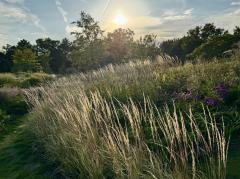 Megrass Garden Nagoya(เมกราส การ์เดน นาโกยา)