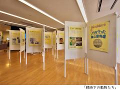 War and Peace Museum: Peace Aichi