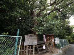 Shiroyama Hachiman Shrine