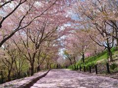 东山动植物园