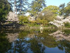 中村公園